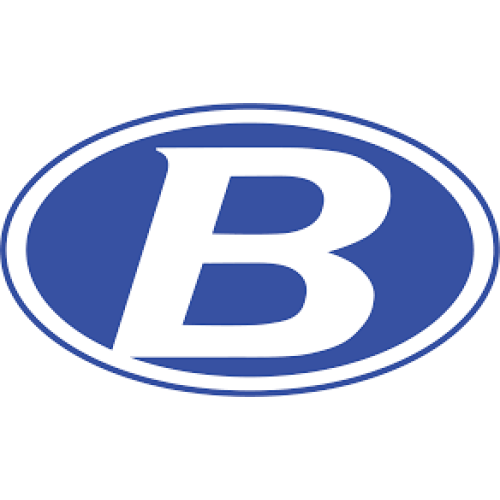 Brunswick HS Logo