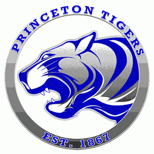 Princeton HS Logo