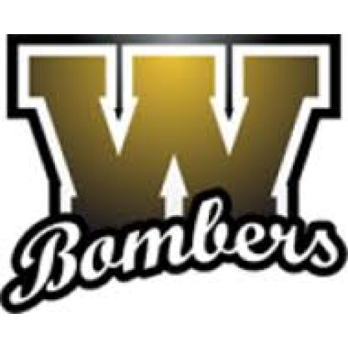 WIndham High School Logo