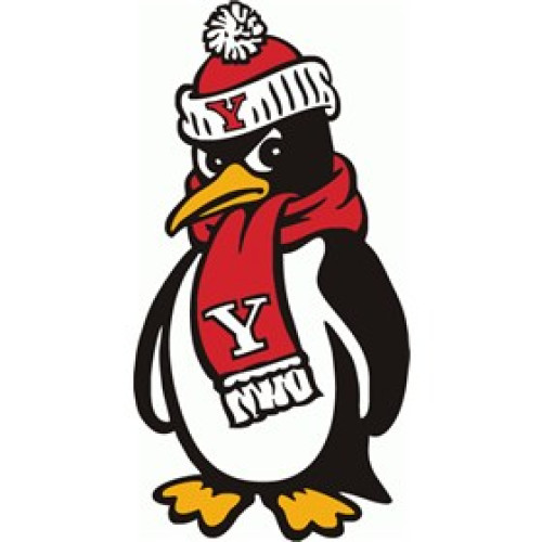 Youngstown State University- Athletics Logo