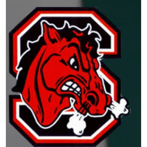 Steubenville High School Logo