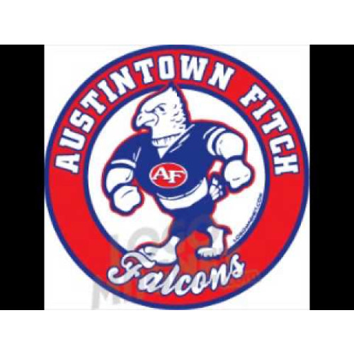Austintown Fitch HS Logo