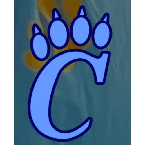 Chesapeake High School Logo