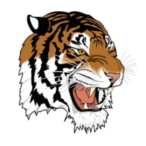 Mansfield City Schools Logo
