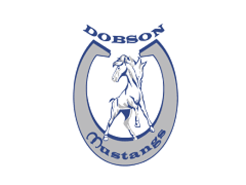 Dobson HS