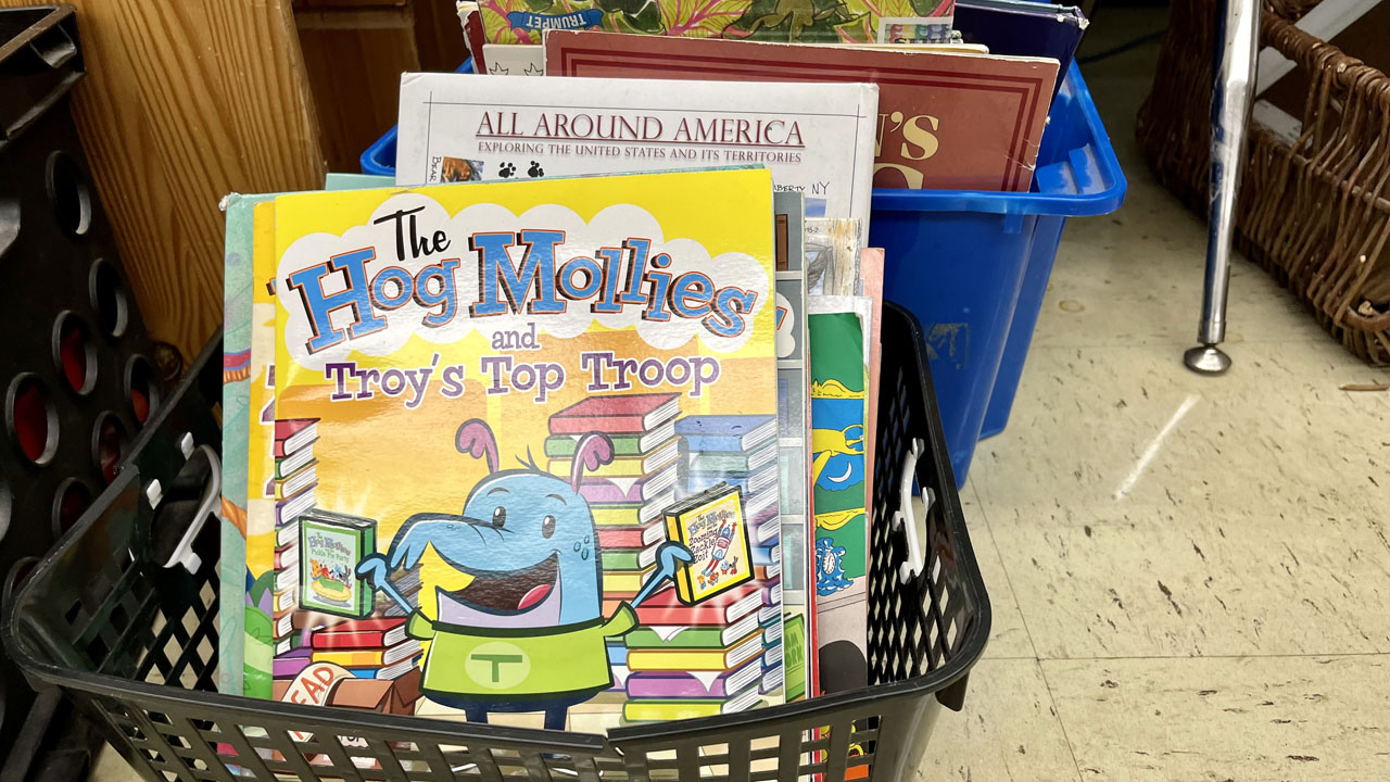 Photo of The Hog Mollies books